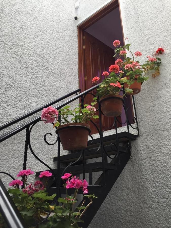 Cozy Private Room Mexico City Exterior photo